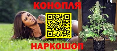 трава Будённовск