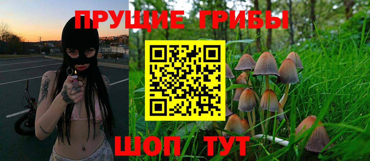 Невинномысск  Галлюциногенные грибы GOLDEN TEACHER  Вход с VPN 